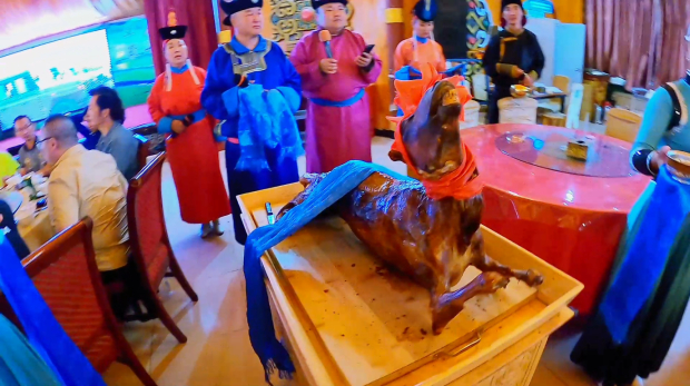 Honeyview_image005.jpg Honeyview_image005.jpg