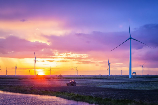 Honeyview_image005.jpg Honeyview_image005.jpg