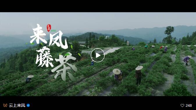 QQ截图20240802092100.jpg QQ截图20240802092100.jpg