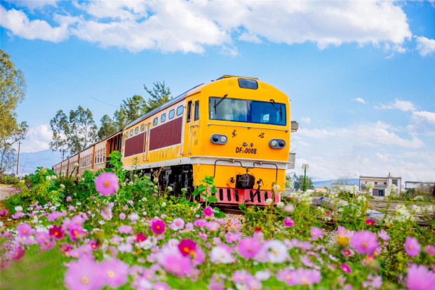 image006 (2).jpg image006 (2).jpg