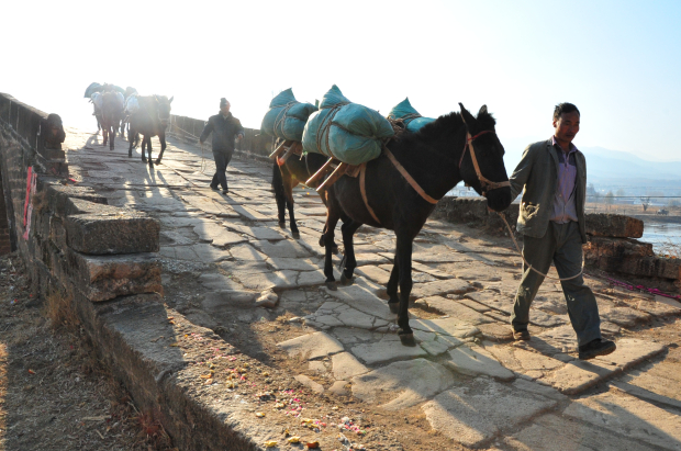 image017 (2).jpg image017 (2).jpg